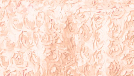14 ft. Rosette Satin Table Skirt - Image 12